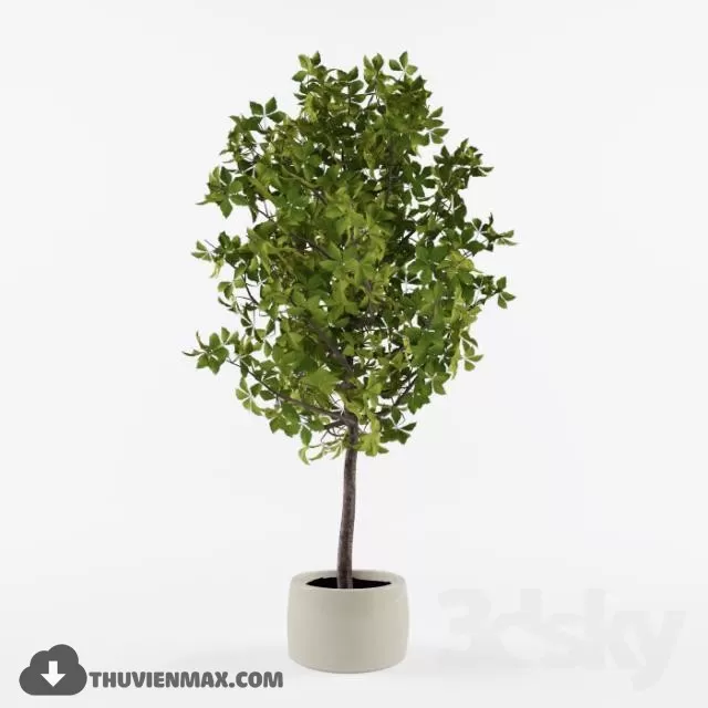 PLANTS – 3DSKY MODEL – 18 PLANTS – 3DSKY MODEL – 18