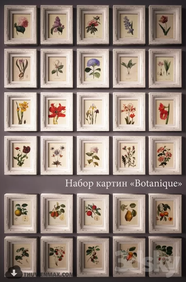 FRAMES 3D MODELS – 02 FRAMES 3D MODELS – 02