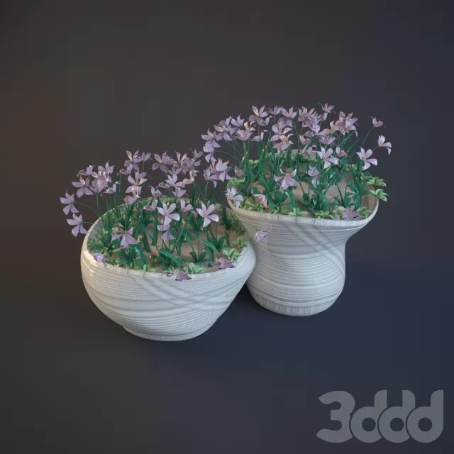 2 Клумбы с цветами – 200055