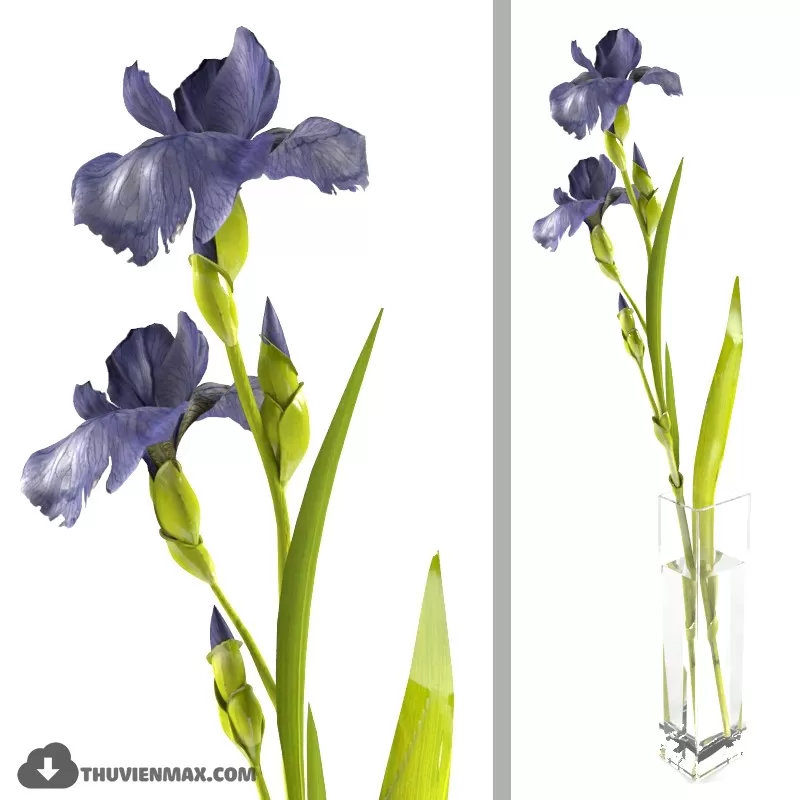 FLOWER POTS – 3DMODELS – 3DSKY – 022