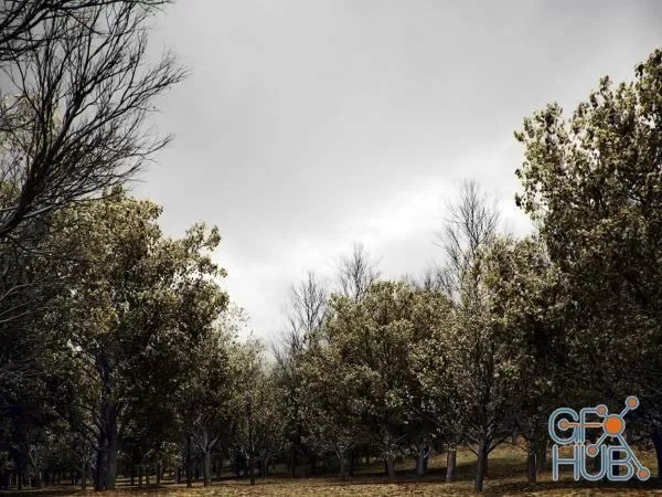 CGHelios – HeliosVegetation vol.1 CGHelios – HeliosVegetation vol.1