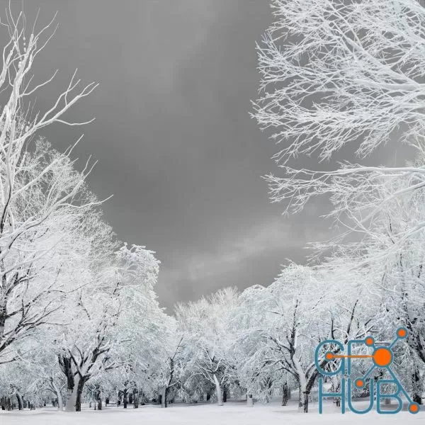 CGHelios – HeliosVegetation vol.11 CGHelios – HeliosVegetation vol.11