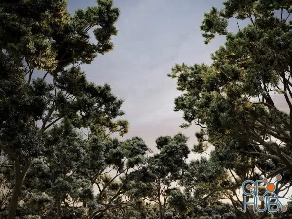 CGHelios – HeliosVegetation vol.2 CGHelios – HeliosVegetation vol.2