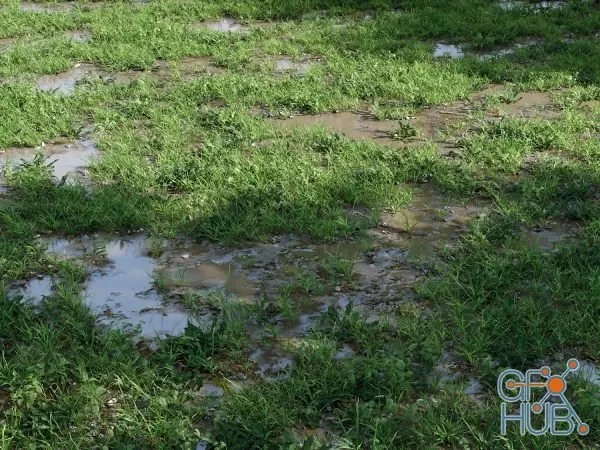 Nouvelle Mesure Lab – Cajuns Grass Pack Nouvelle Mesure Lab – Cajuns Grass Pack