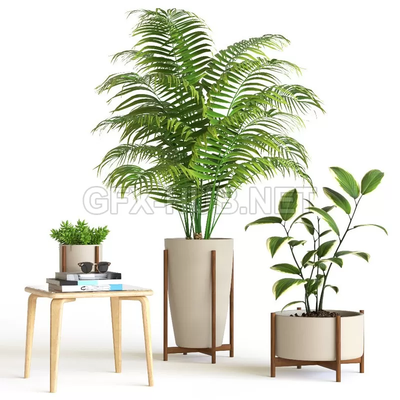 3D Plant Set – 200191