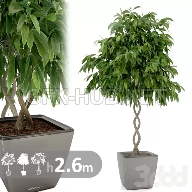 3DSKY PRO MODELS – 211