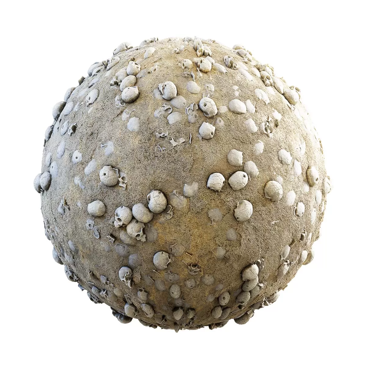 CGAxis PBR 28 – Skulls On Desert 31 90 CGAxis PBR 28 – Skulls On Desert 31 90