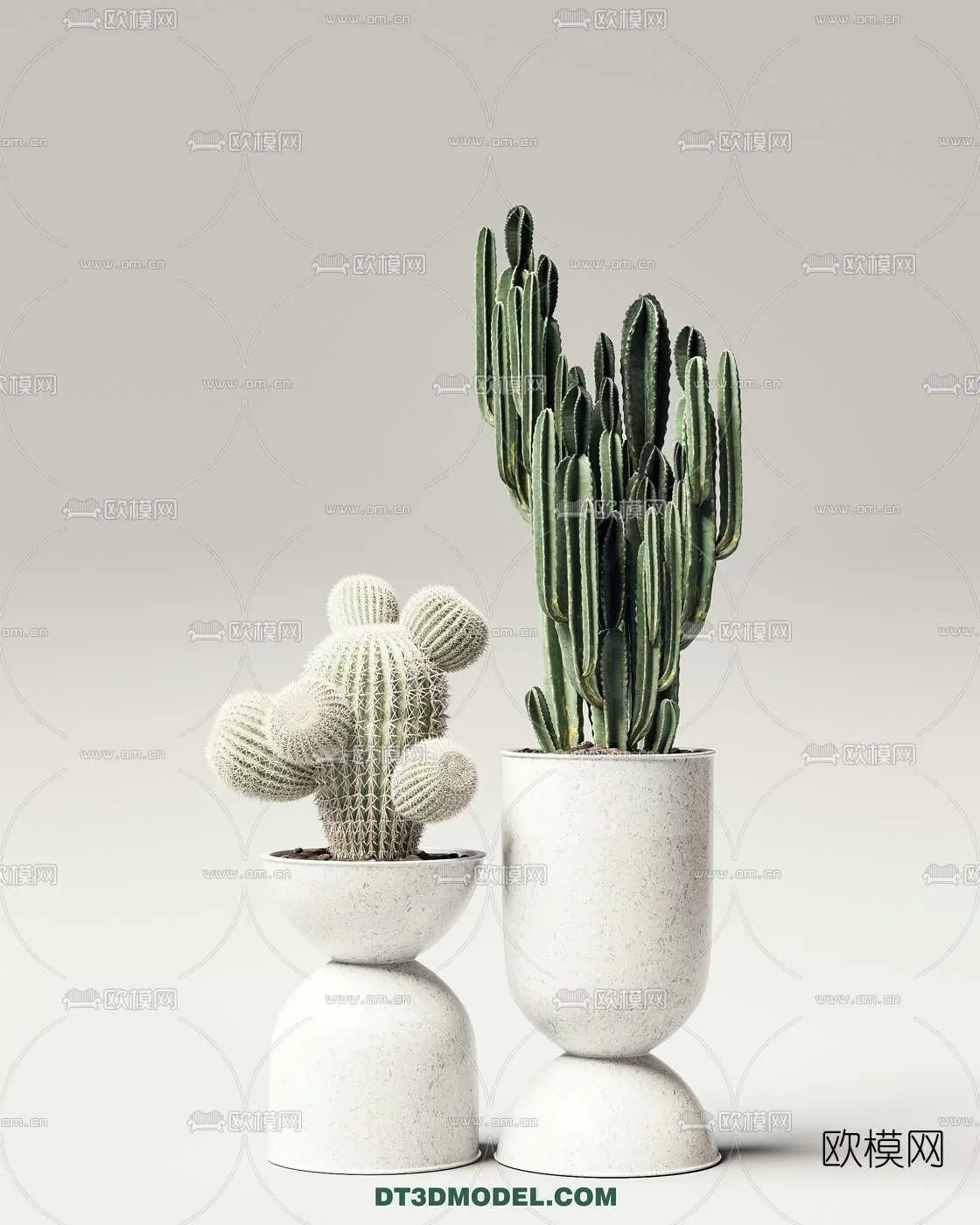 PLANT – CACTUS 3DMODELS – 007