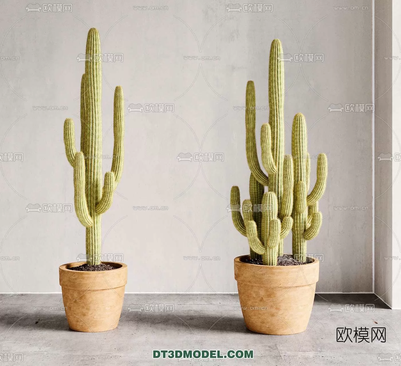 PLANT – CACTUS 3DMODELS – 008