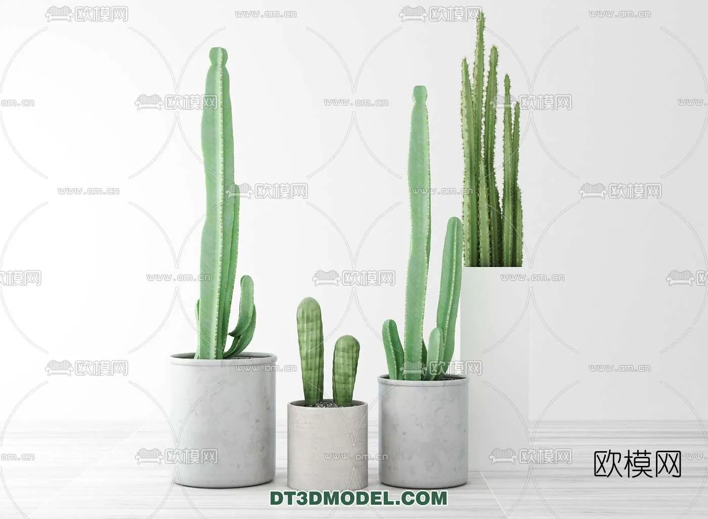 PLANT – CACTUS 3DMODELS – 013
