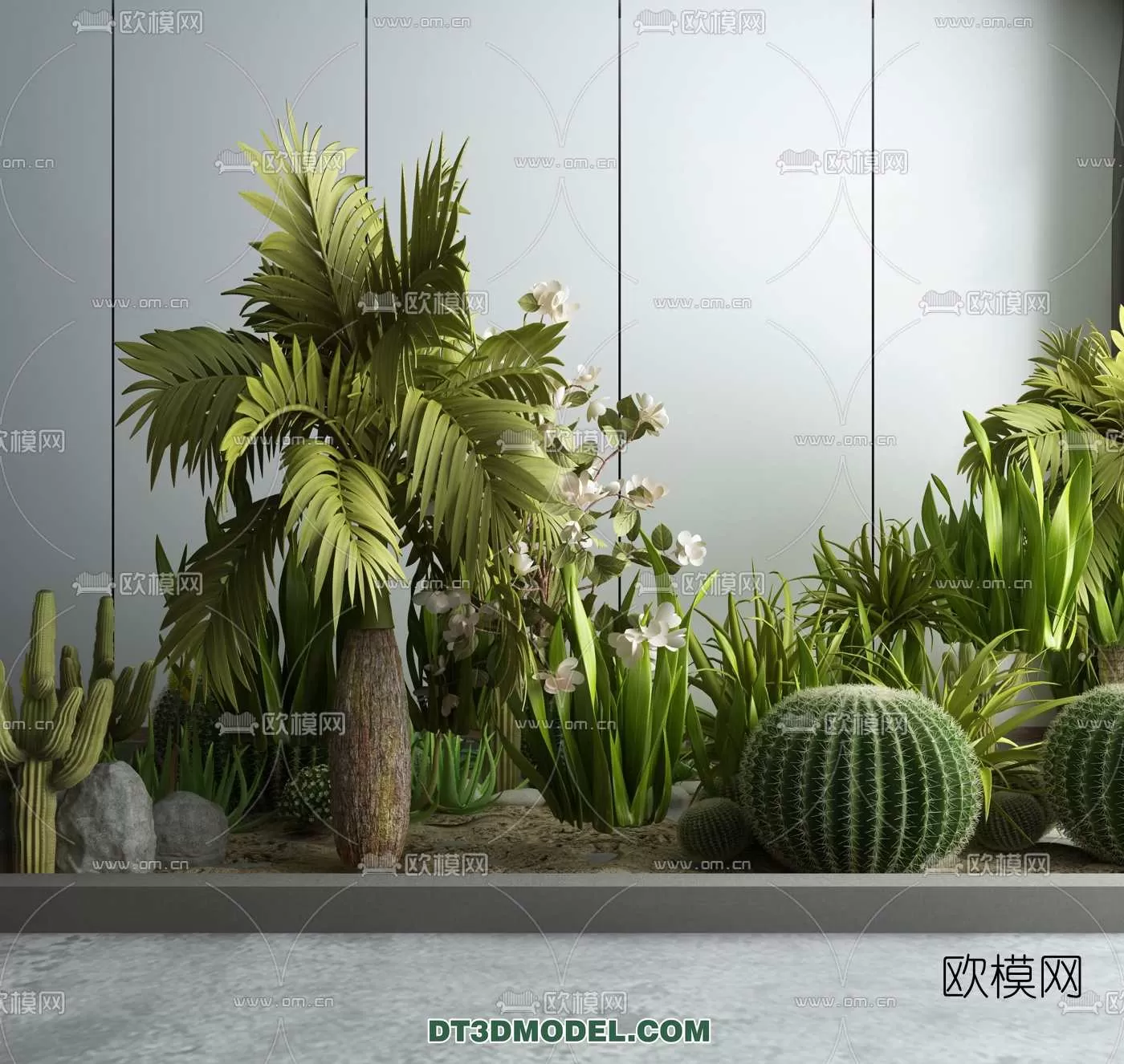 PLANT – CACTUS 3DMODELS – 017