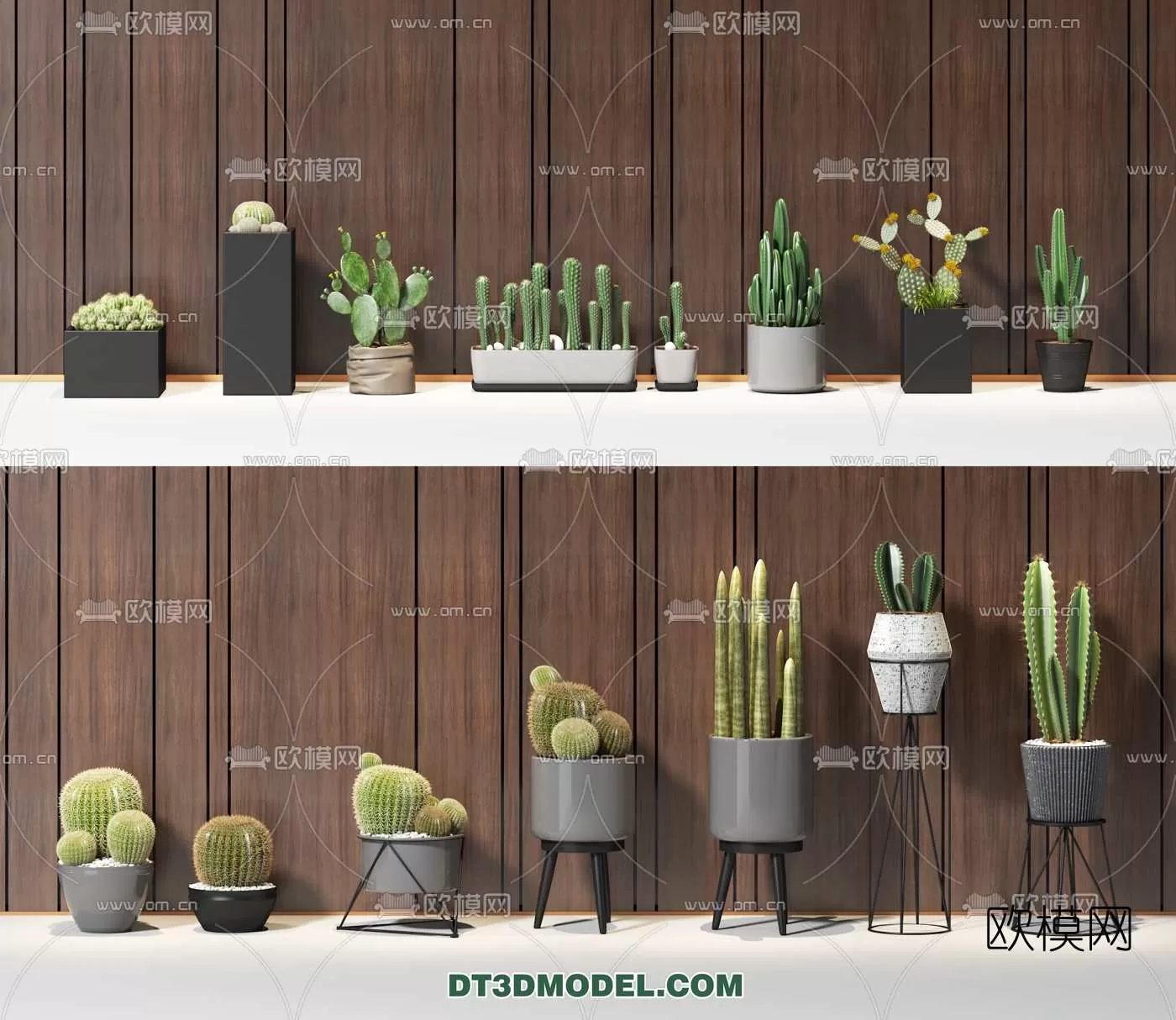 PLANT – CACTUS 3DMODELS – 018