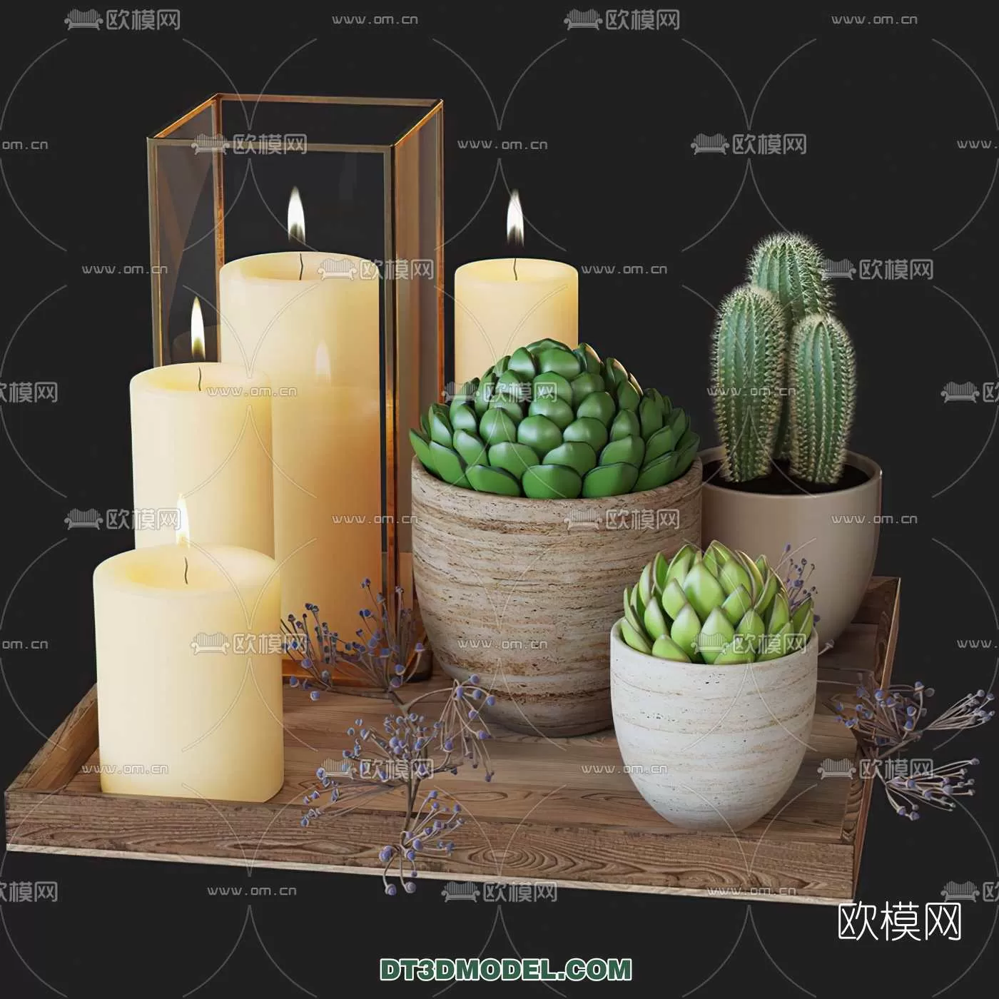 PLANT – CACTUS 3DMODELS – 020