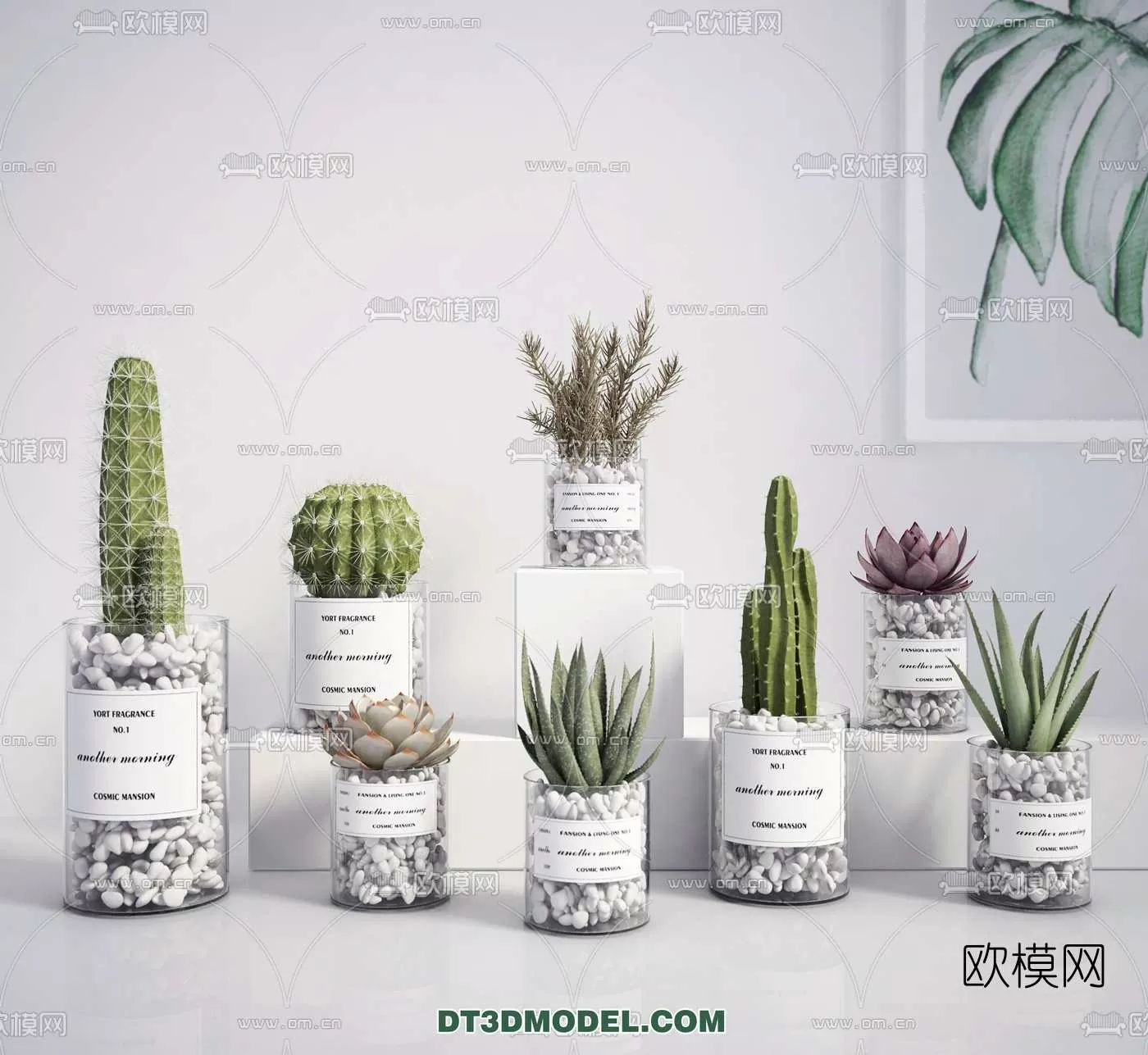 PLANT – CACTUS 3DMODELS – 021