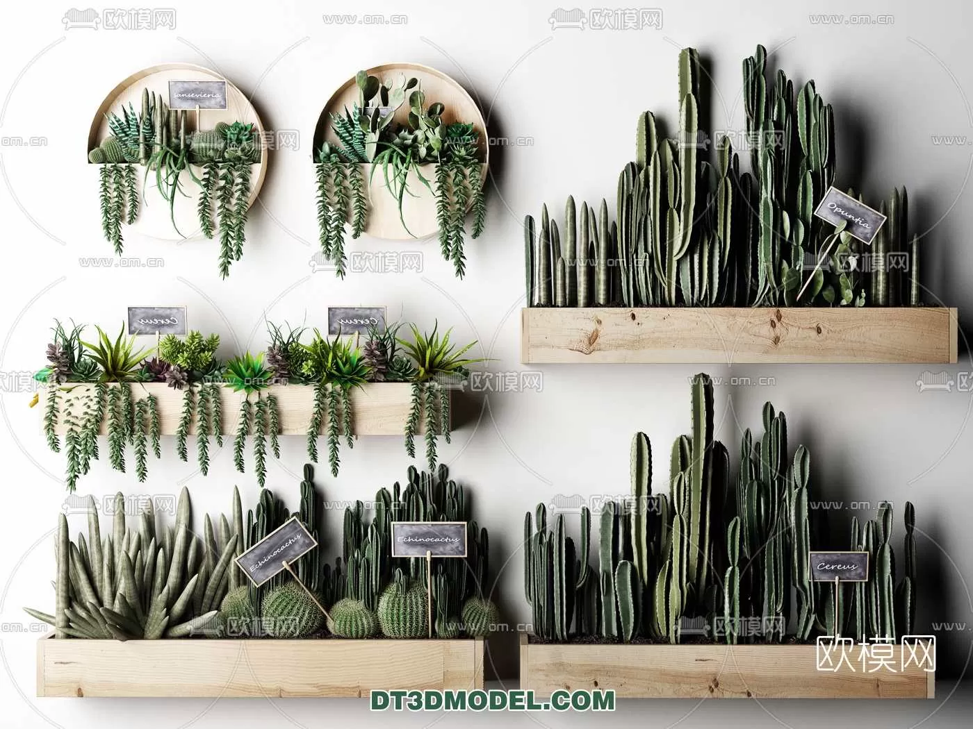 PLANT – CACTUS 3DMODELS – 023