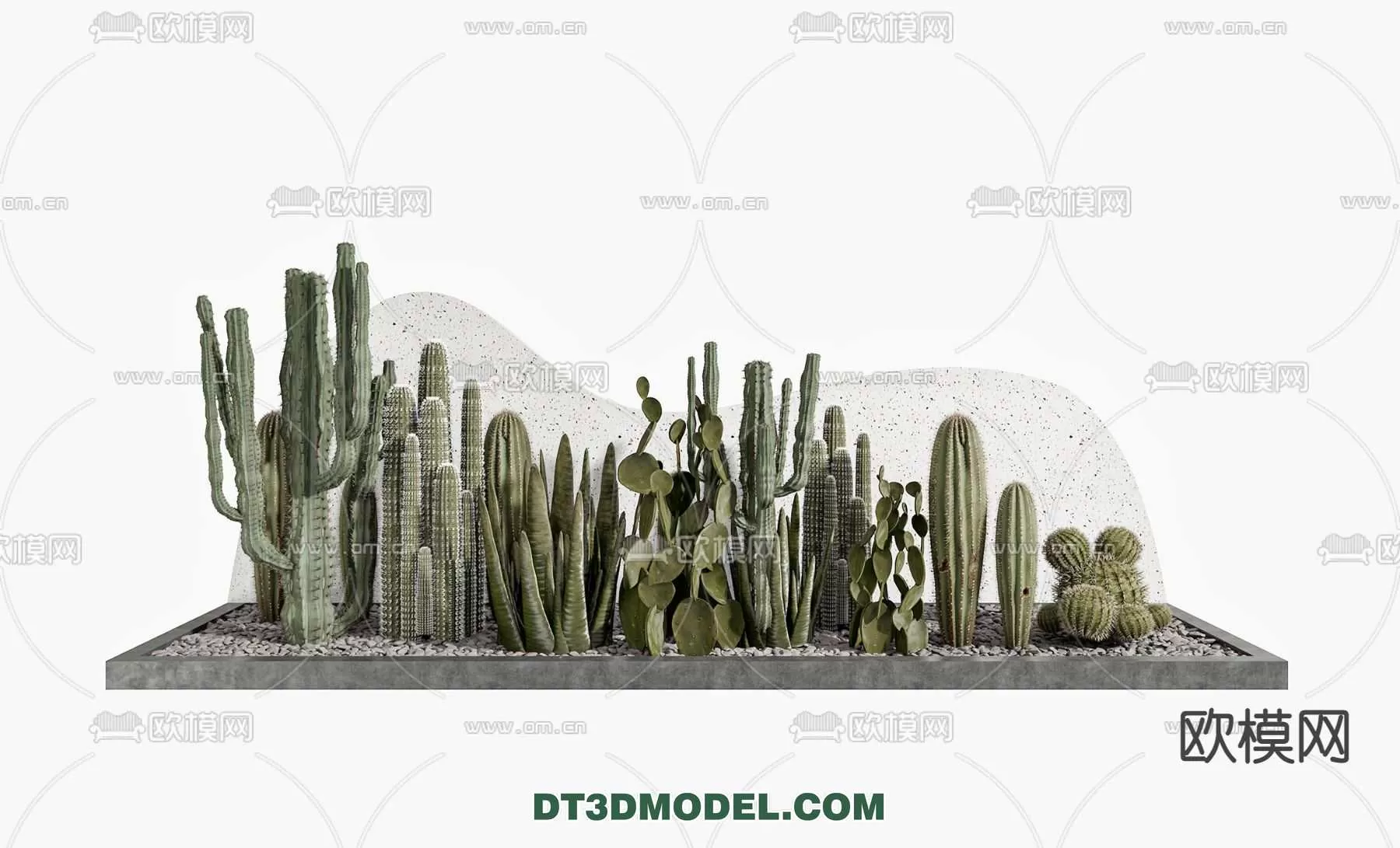 PLANT – CACTUS 3DMODELS – 035