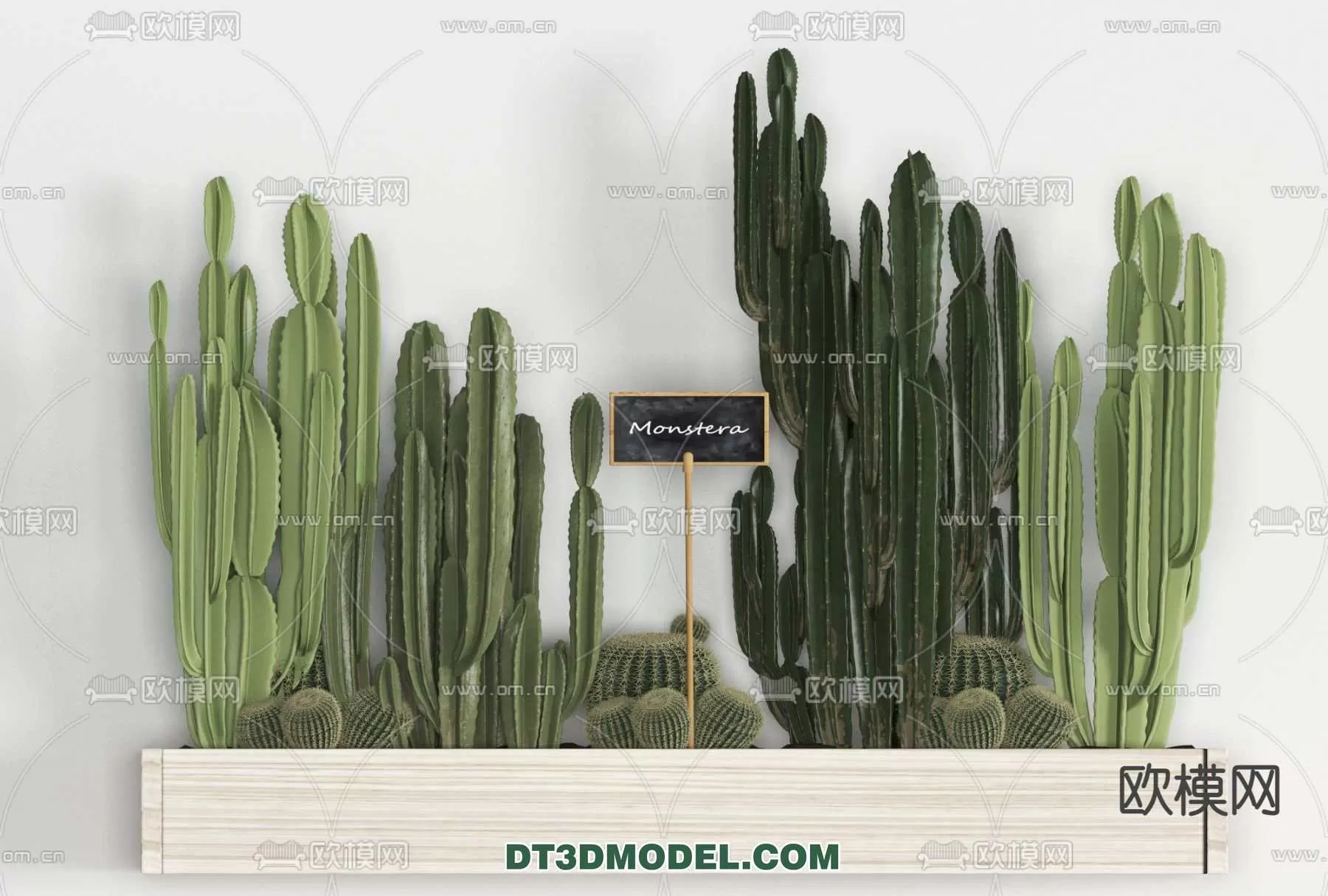 PLANT – CACTUS 3DMODELS – 038
