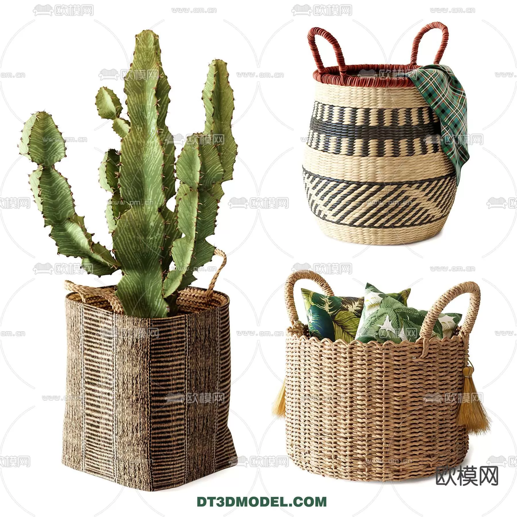 PLANT – CACTUS 3DMODELS – 042
