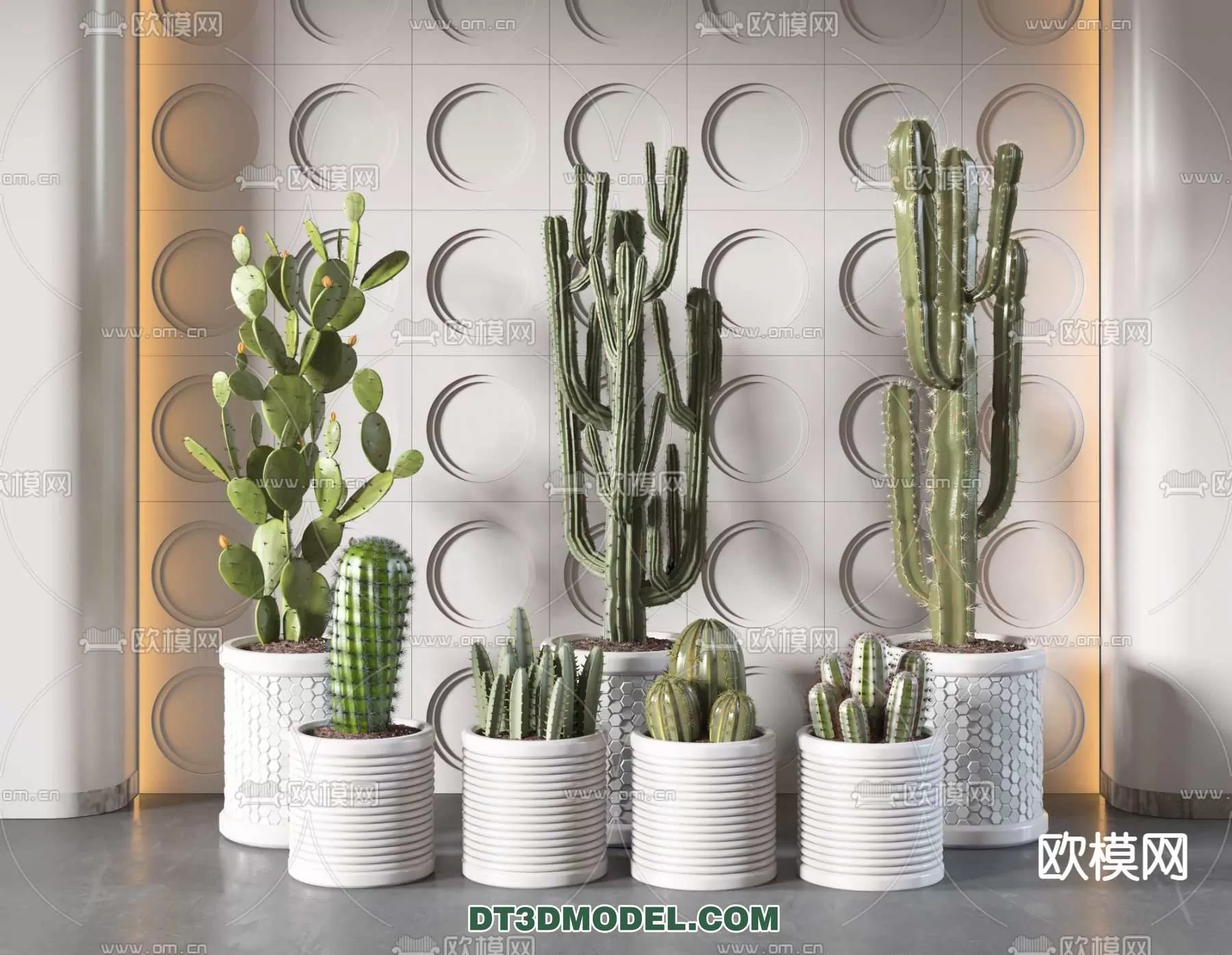 PLANT – CACTUS 3DMODELS – 044