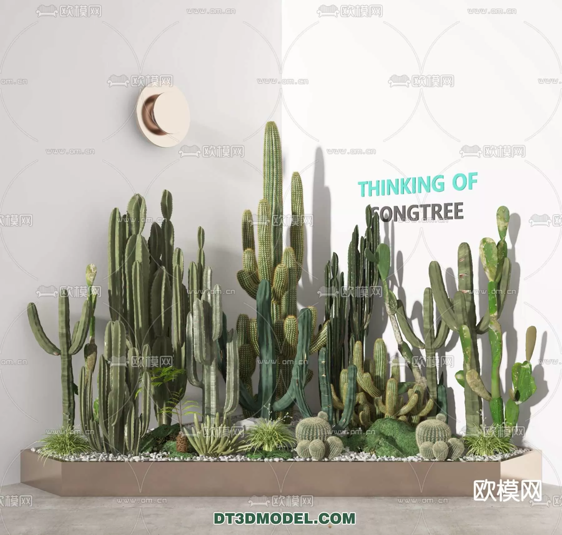 PLANT – CACTUS 3DMODELS – 050