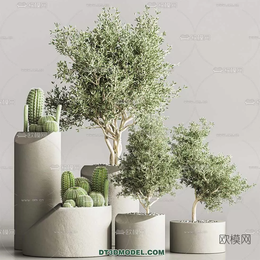 PLANT – CACTUS 3DMODELS – 051