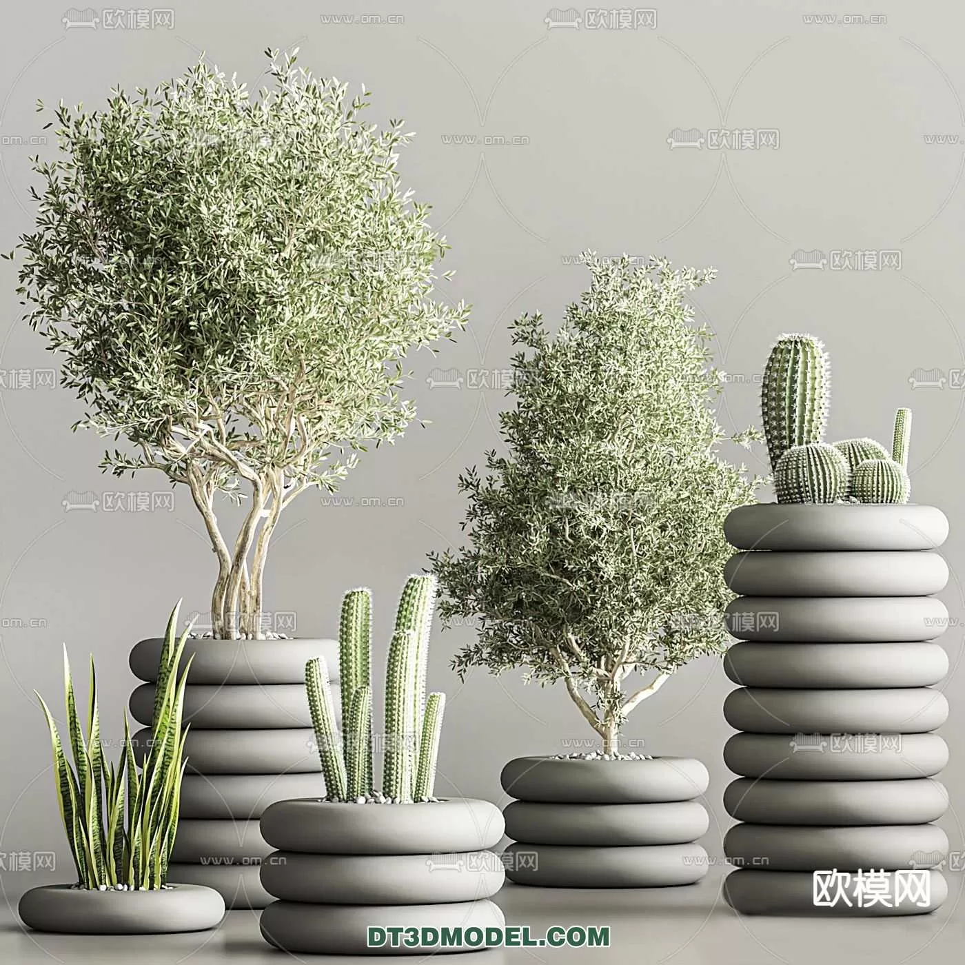 PLANT – CACTUS 3DMODELS – 052