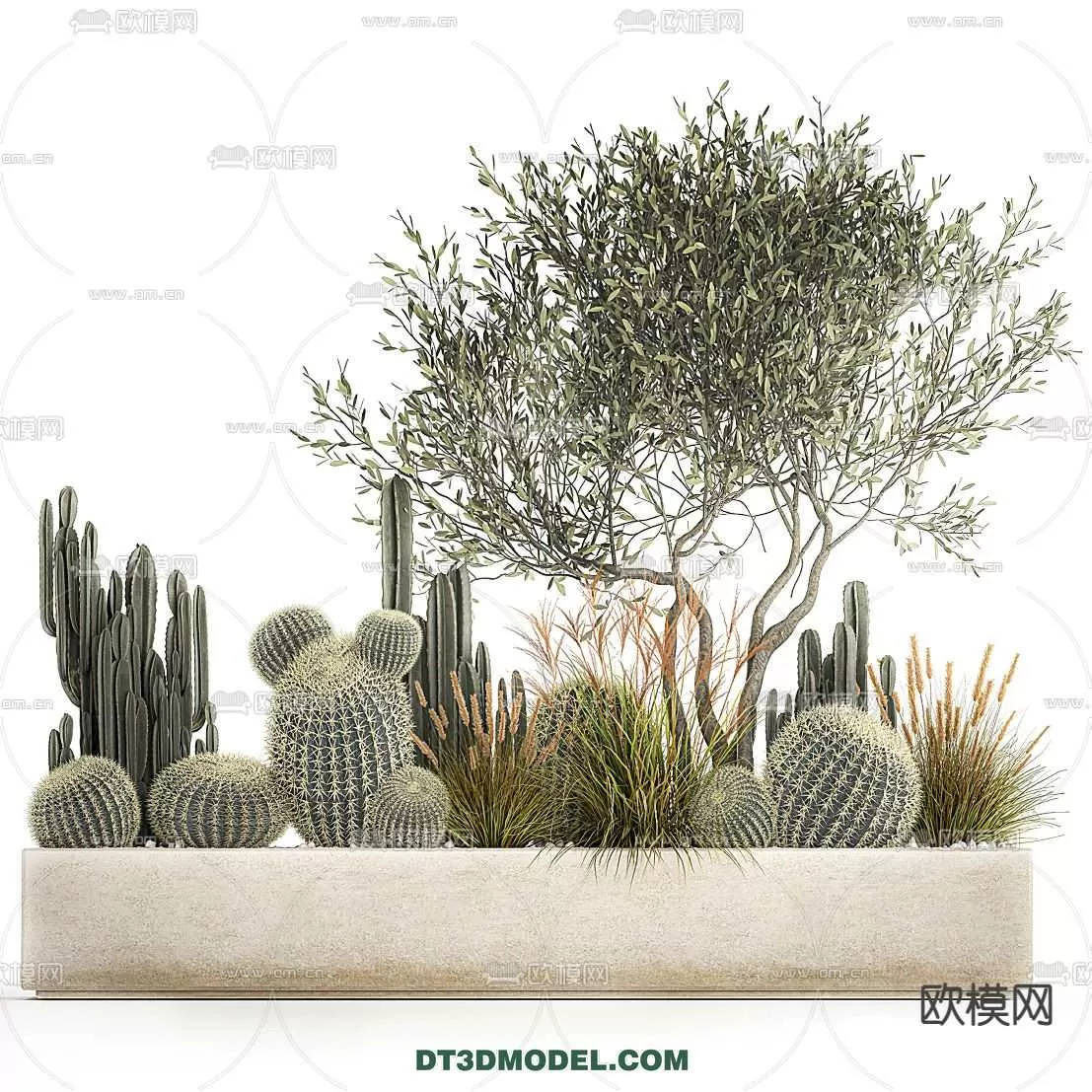 PLANT – CACTUS 3DMODELS – 053