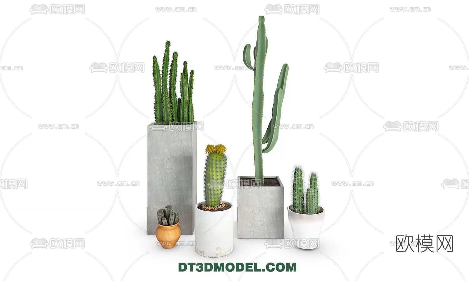 PLANT – CACTUS 3DMODELS – 055