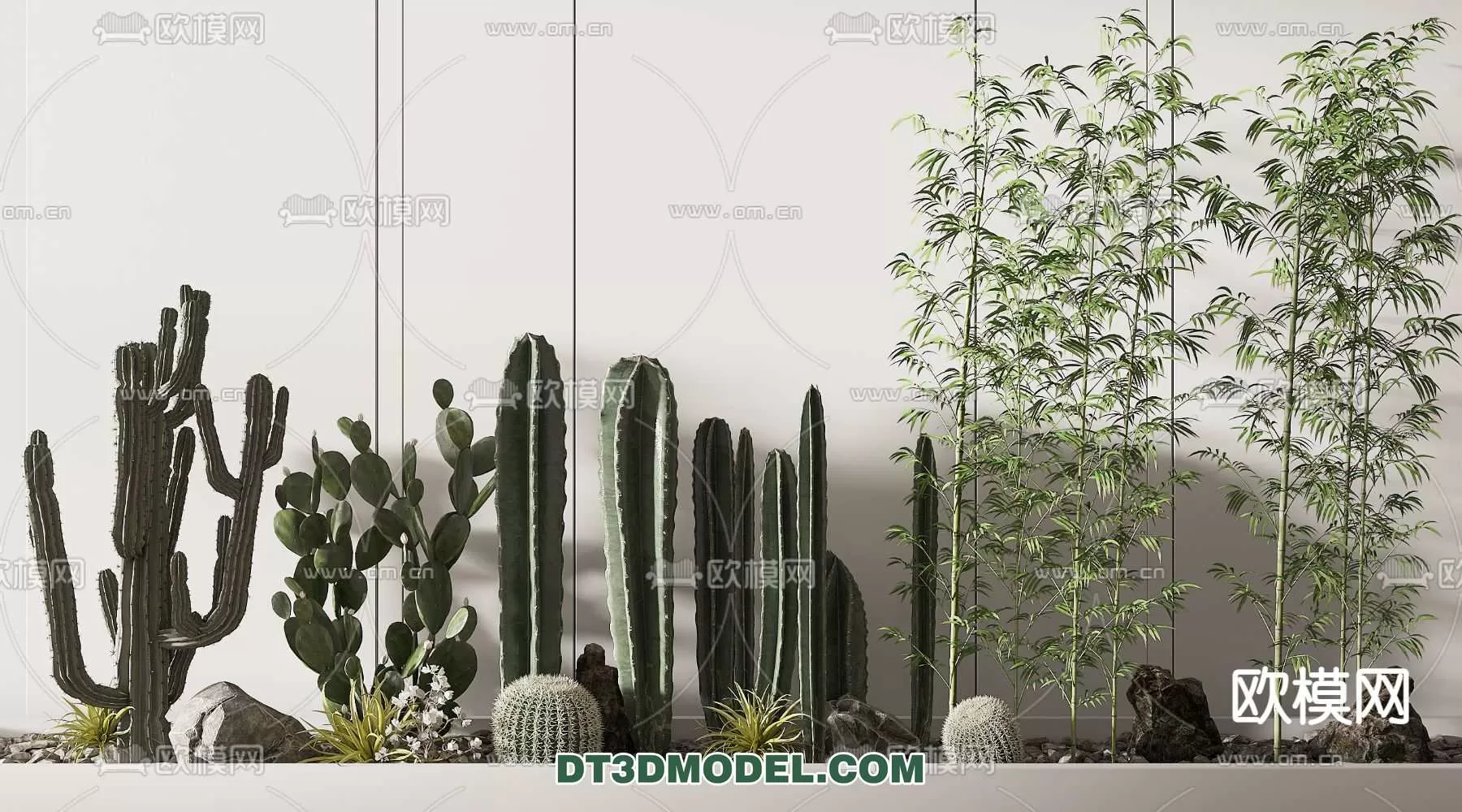 PLANT – CACTUS 3DMODELS – 058