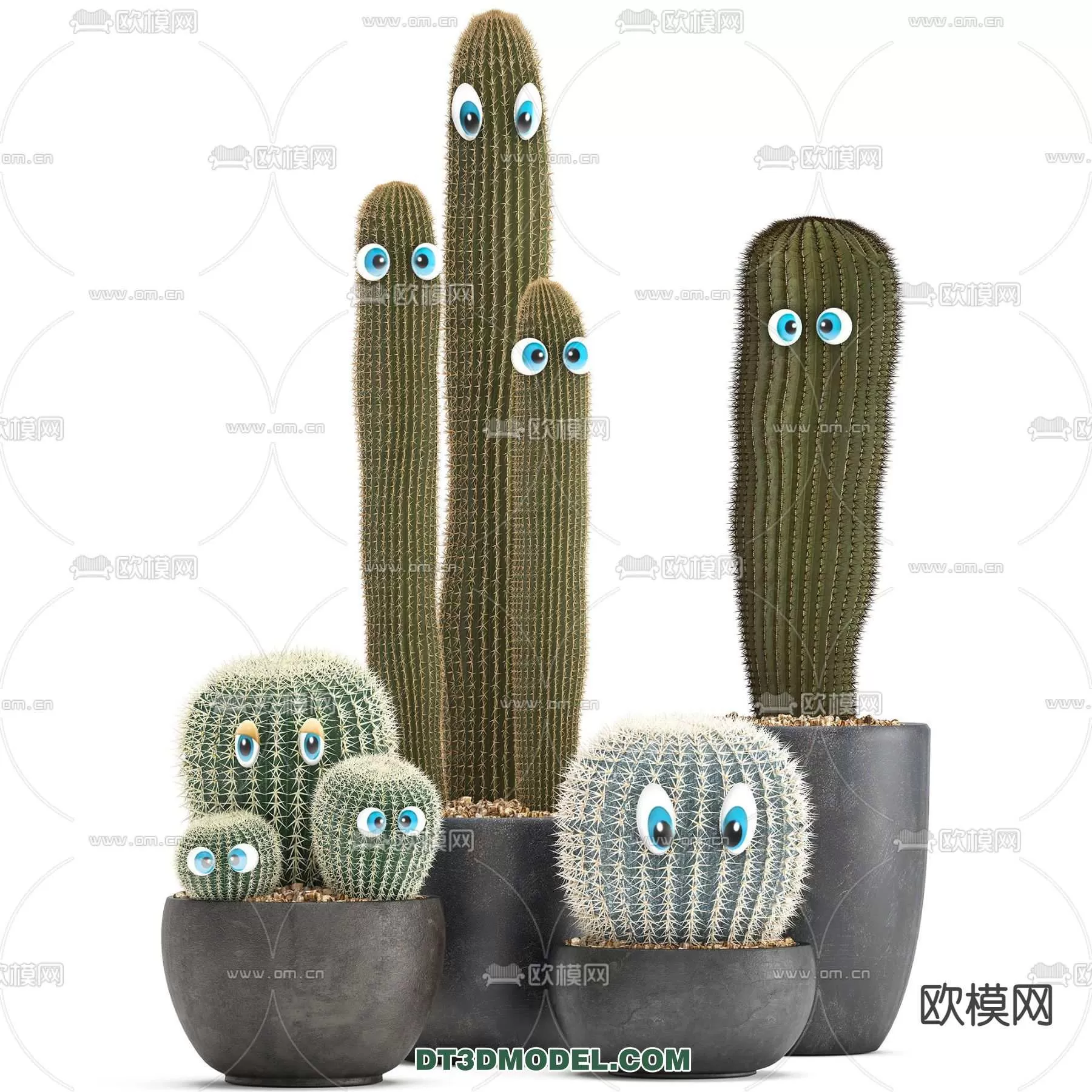 PLANT – CACTUS 3DMODELS – 061
