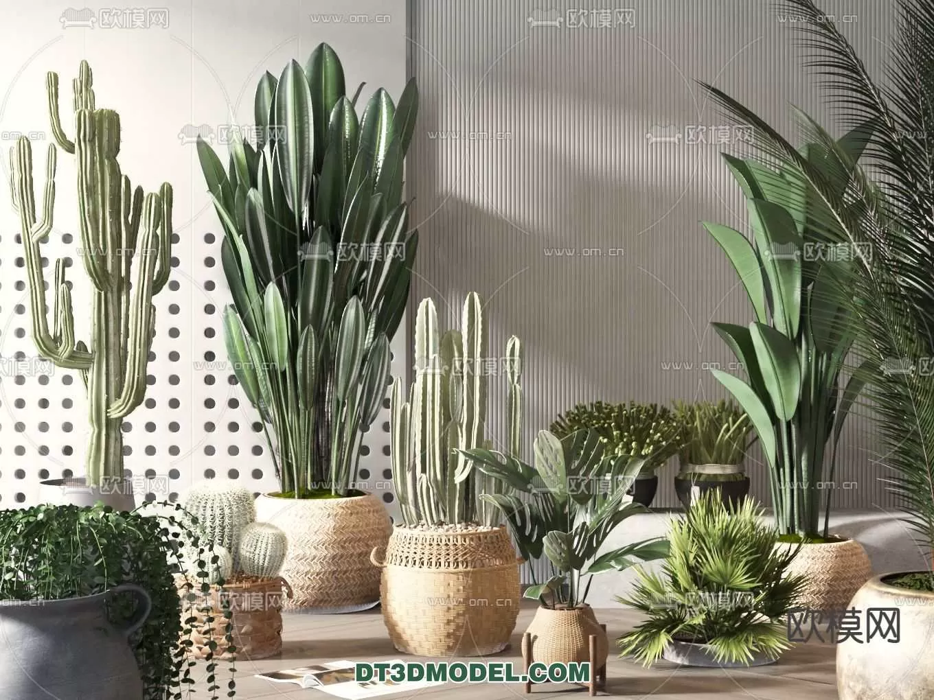 PLANT – CACTUS 3DMODELS – 065