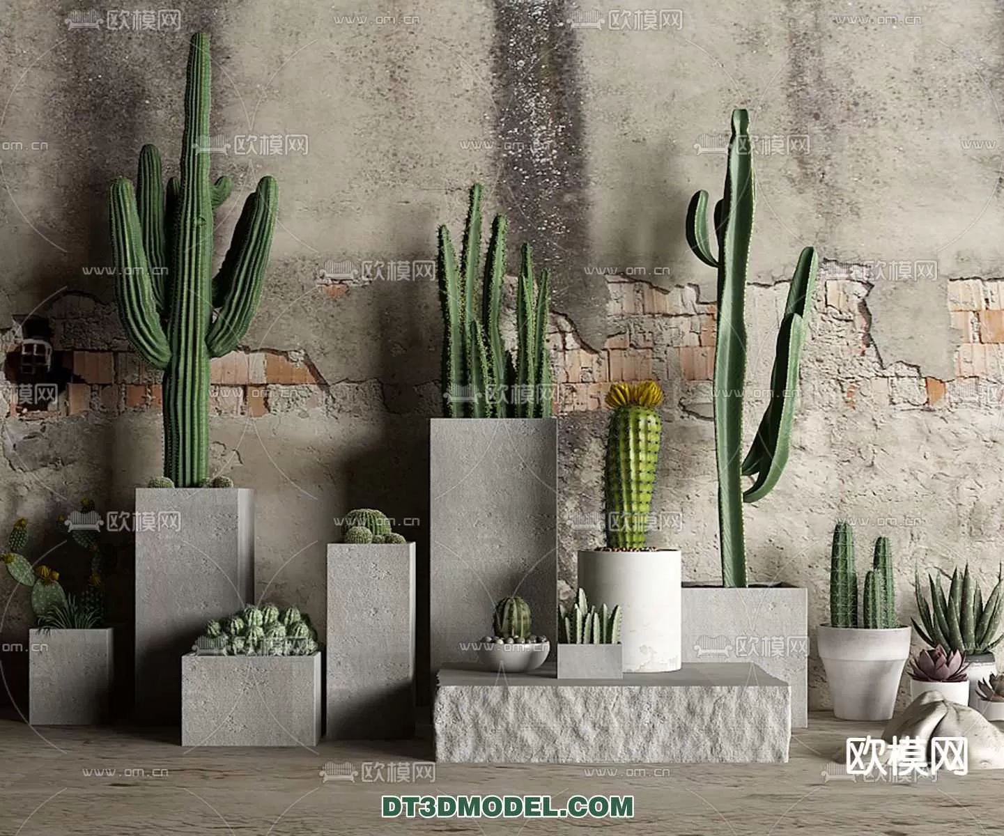 PLANT – CACTUS 3DMODELS – 067
