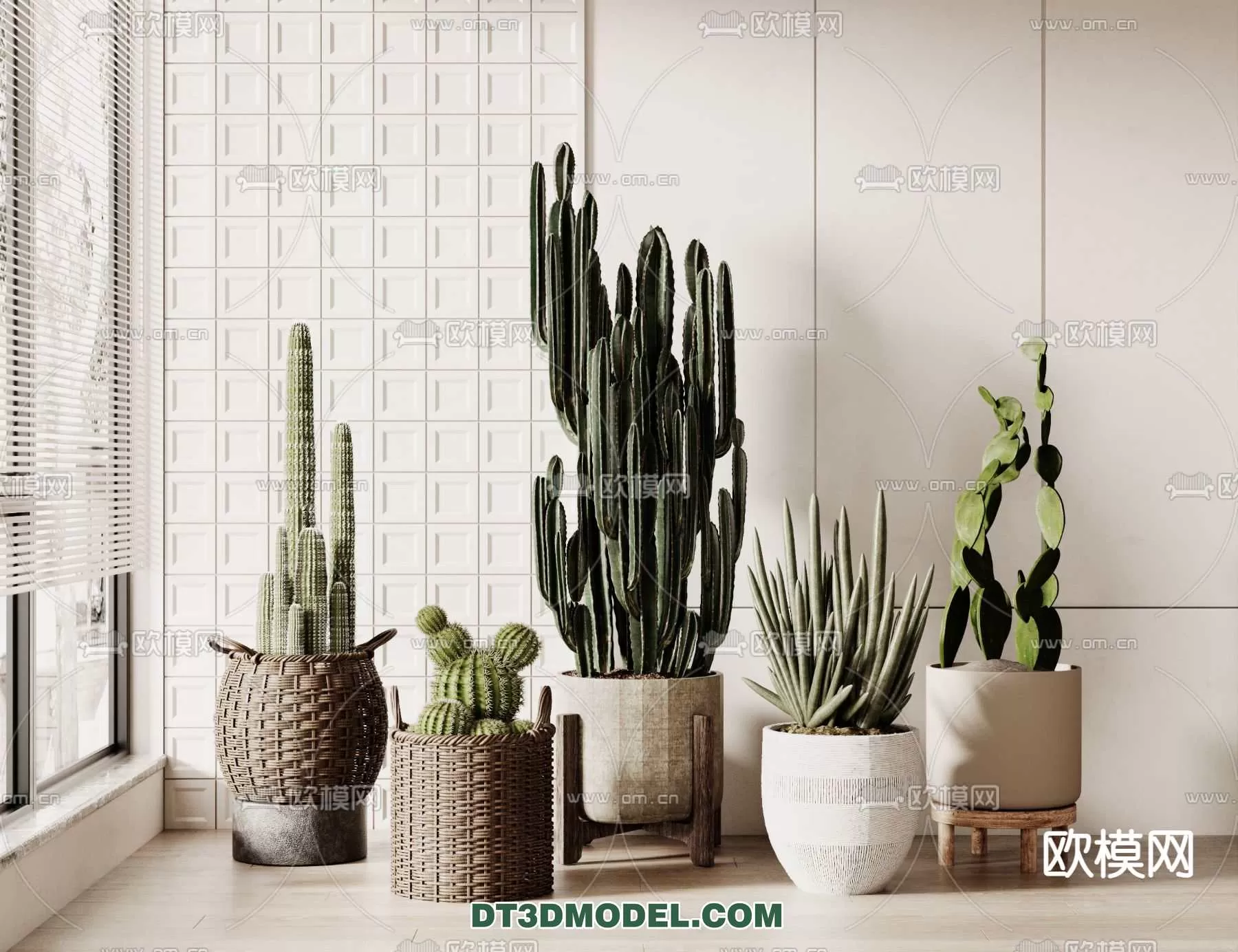 PLANT – CACTUS 3DMODELS – 068