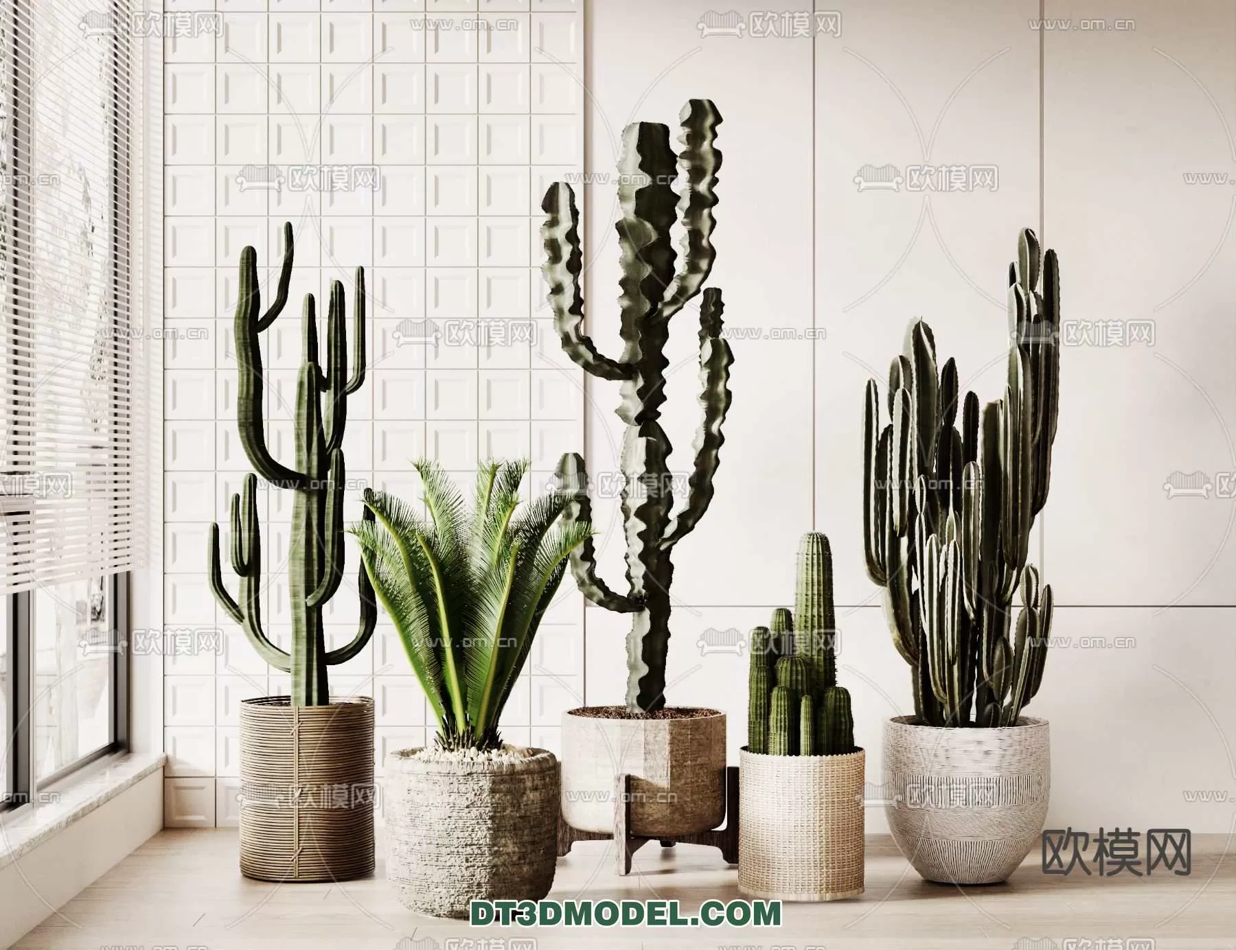 PLANT – CACTUS 3DMODELS – 069