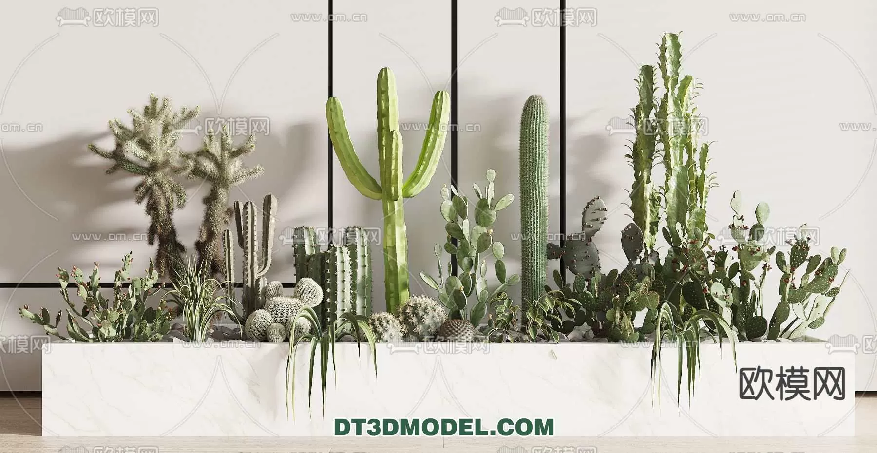 PLANT – CACTUS 3DMODELS – 073
