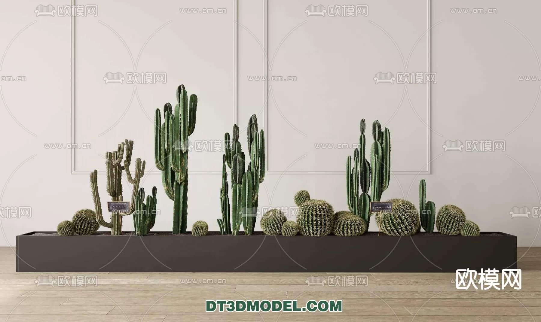 PLANT – CACTUS 3DMODELS – 081
