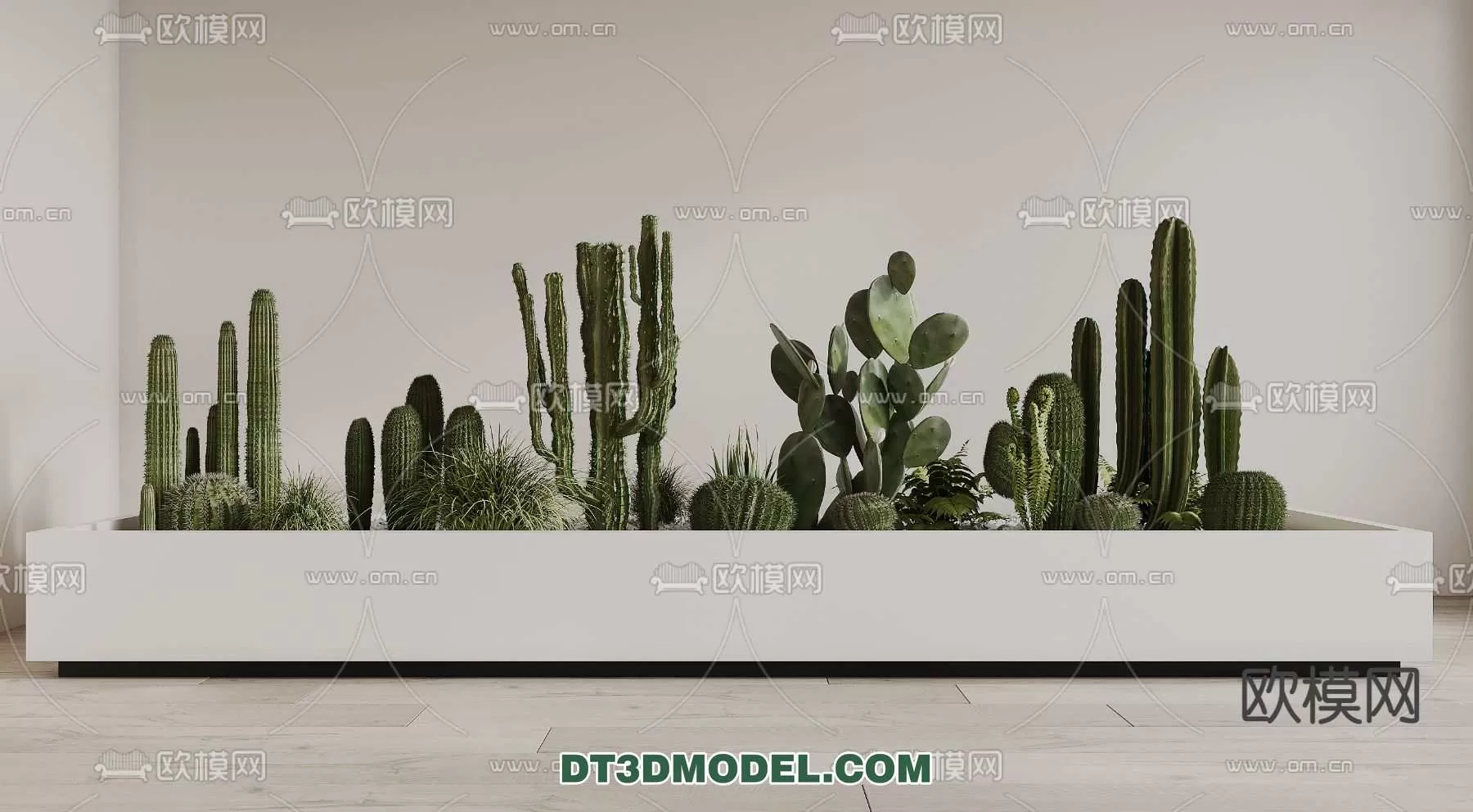 PLANT – CACTUS 3DMODELS – 082