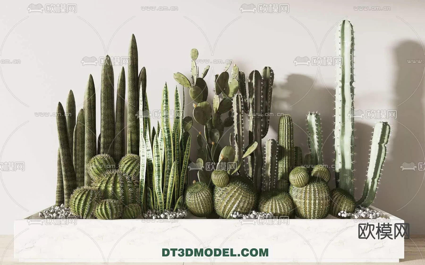 PLANT – CACTUS 3DMODELS – 085