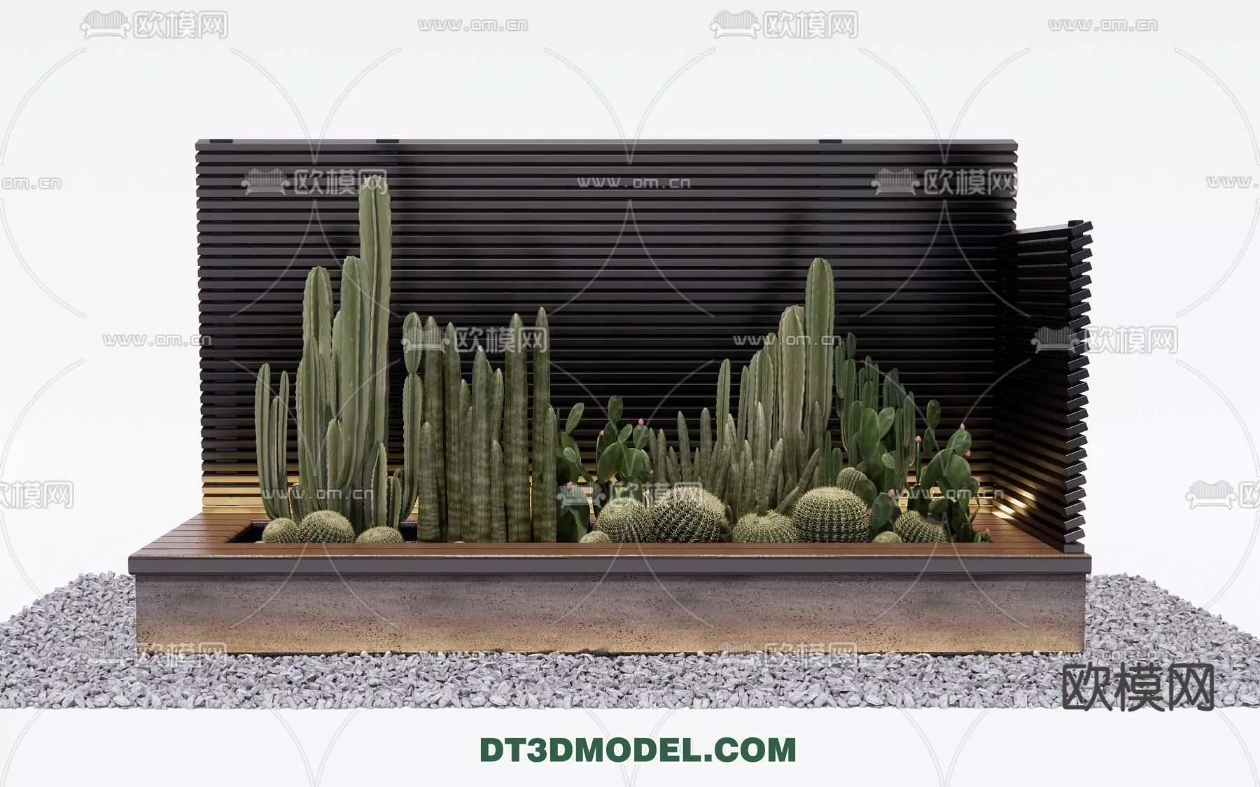PLANT – CACTUS 3DMODELS – 086