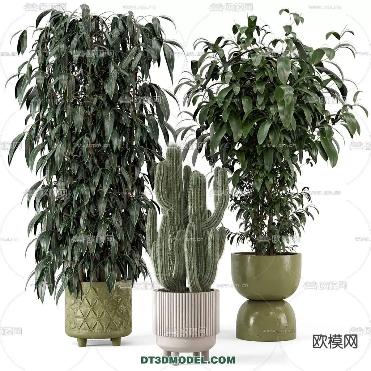 PLANT – CACTUS 3DMODELS – 088