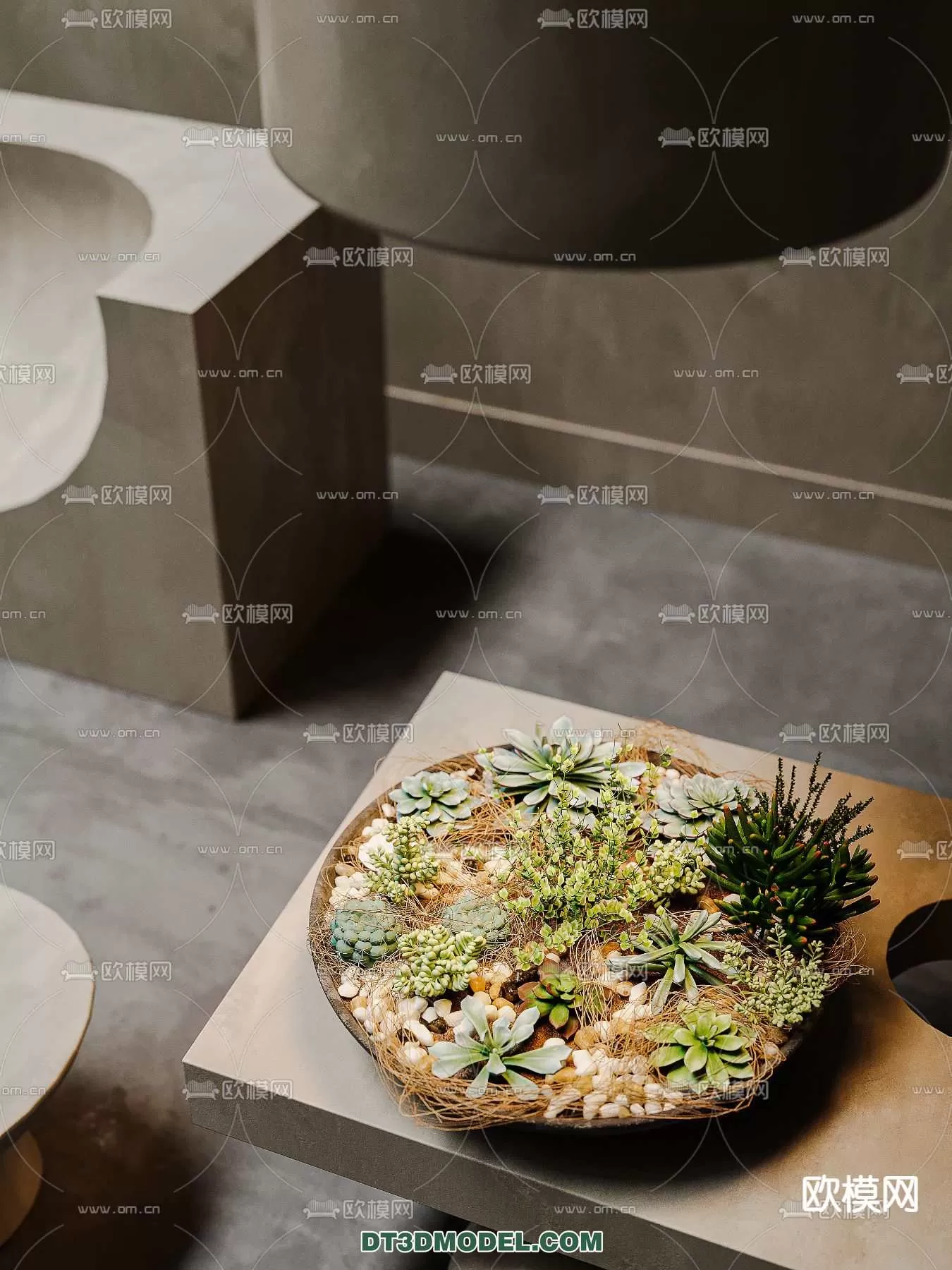 PLANT – CACTUS 3DMODELS – 090