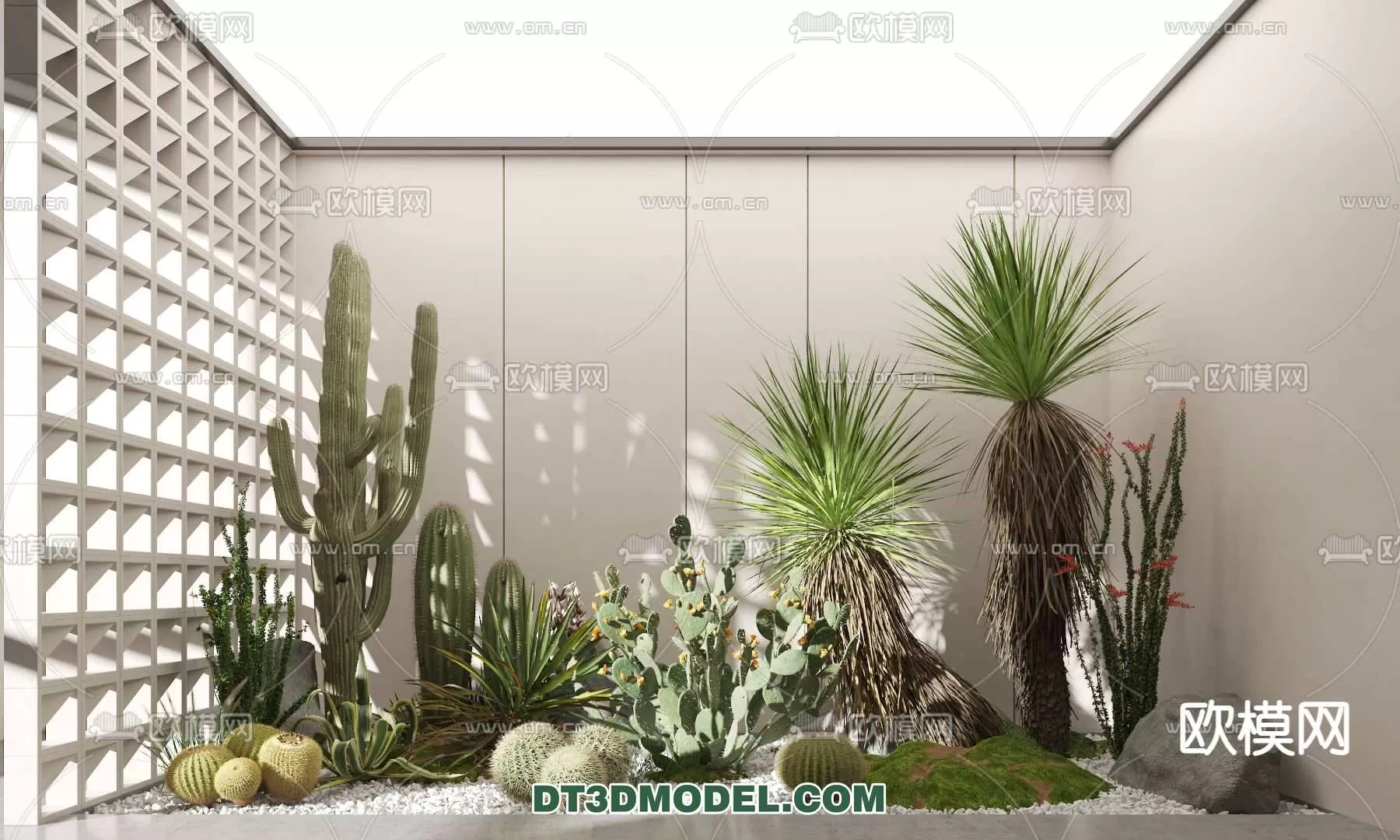 PLANT – CACTUS 3DMODELS – 092