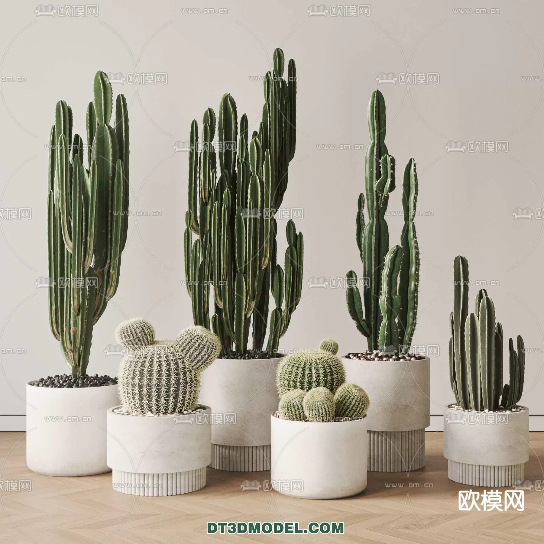 PLANT – CACTUS 3DMODELS – 093