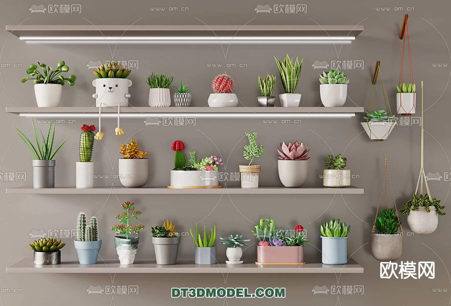 PLANT – CACTUS 3DMODELS – 096