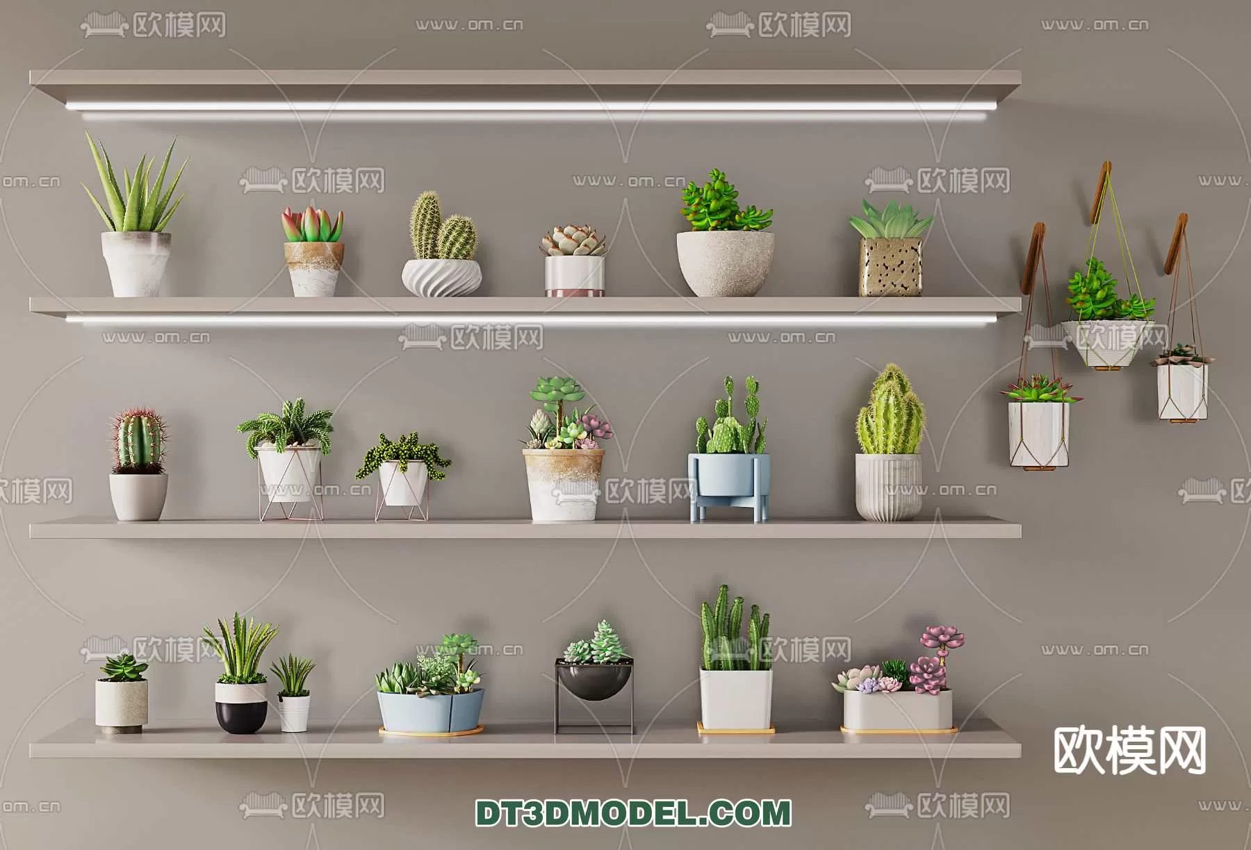 PLANT – CACTUS 3DMODELS – 097