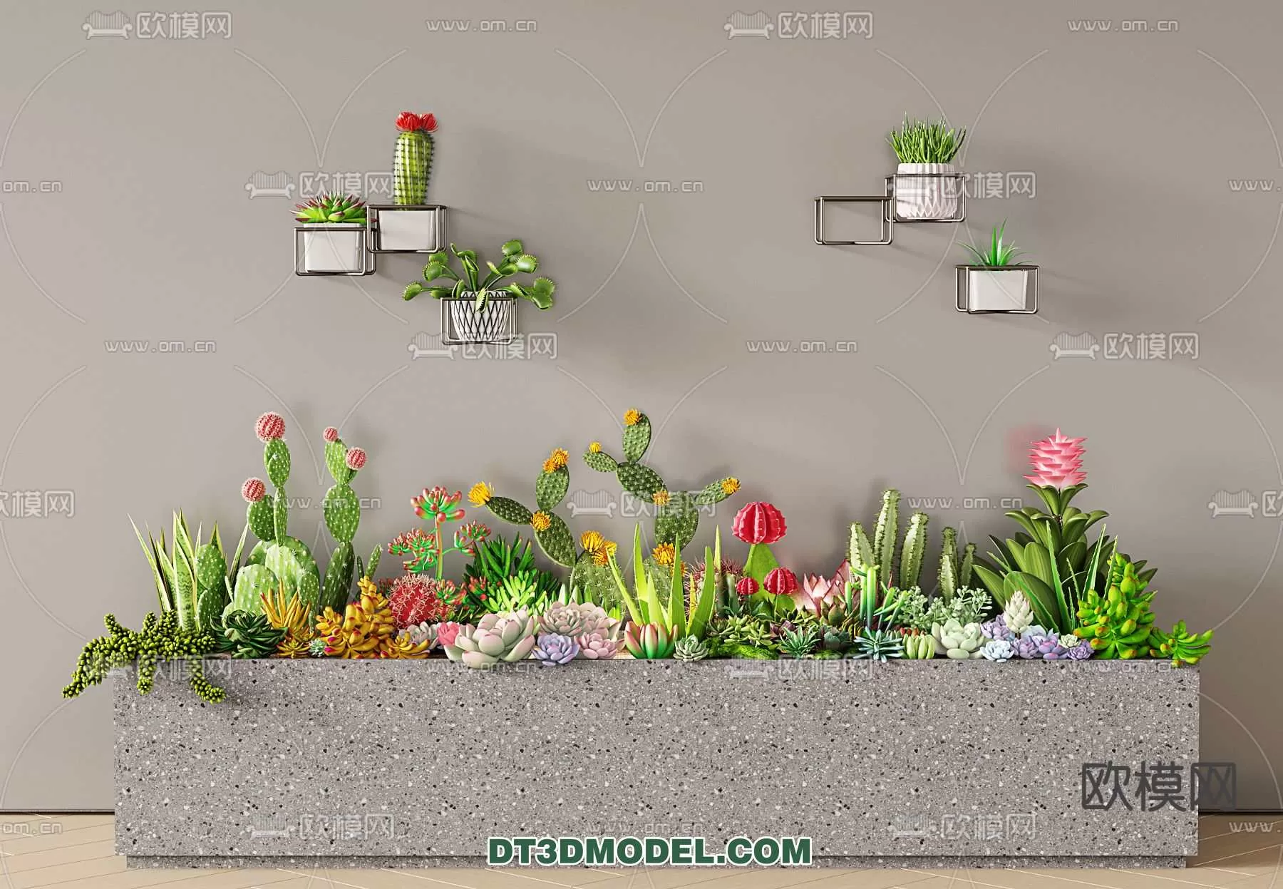 PLANT – CACTUS 3DMODELS – 098