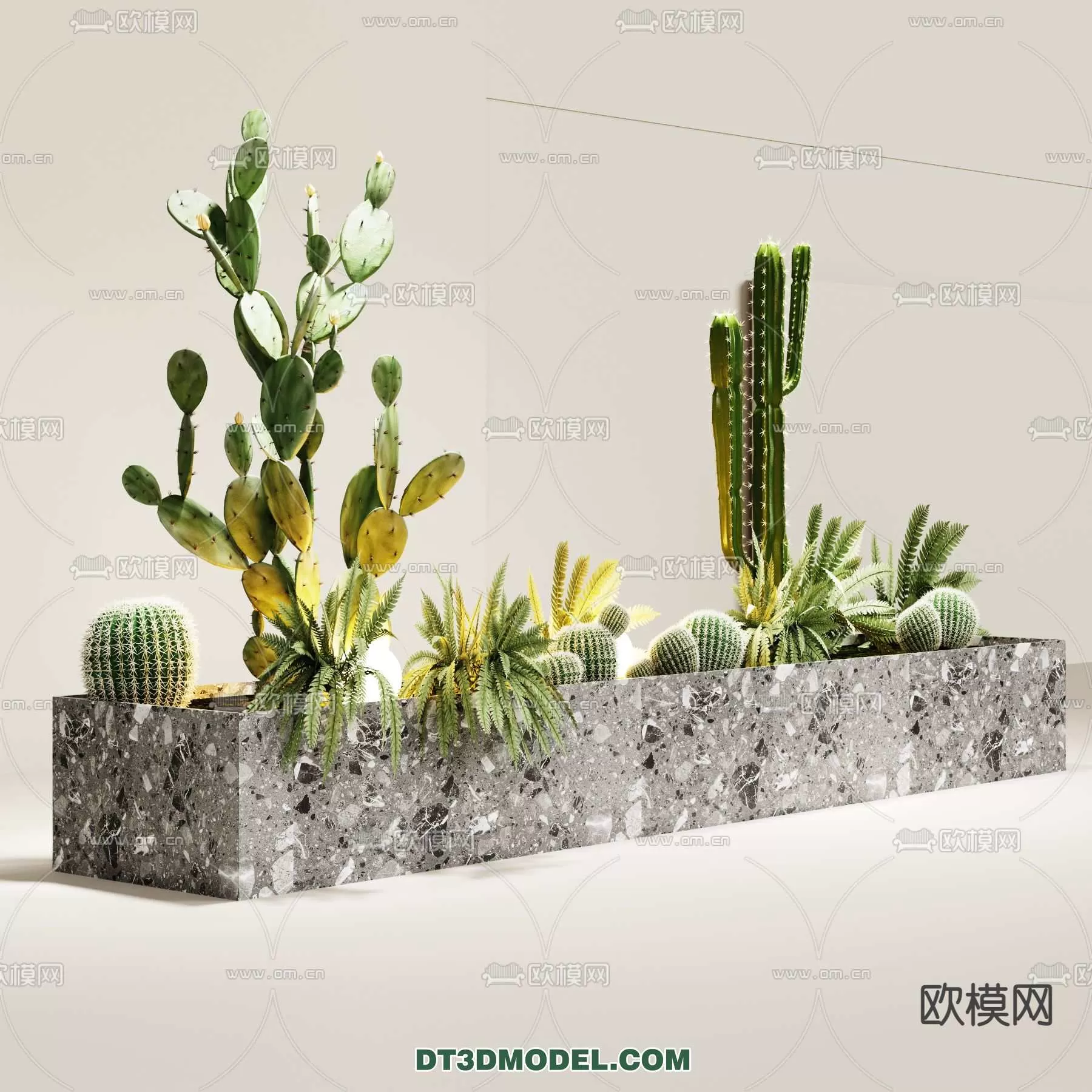 PLANT – CACTUS 3DMODELS – 101