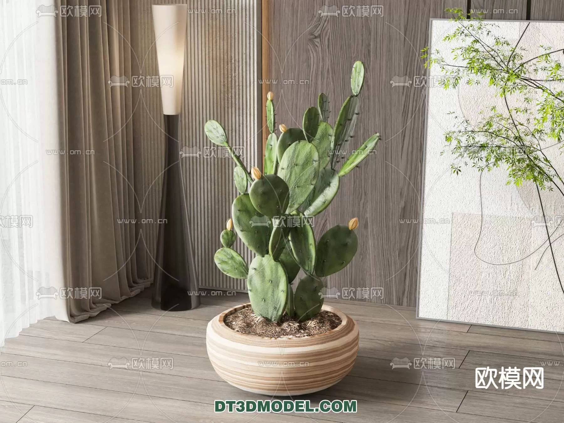 PLANT – CACTUS 3DMODELS – 102