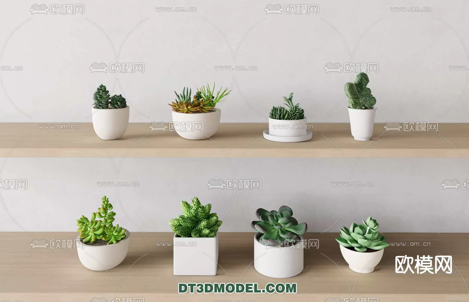 PLANT – CACTUS 3DMODELS – 105