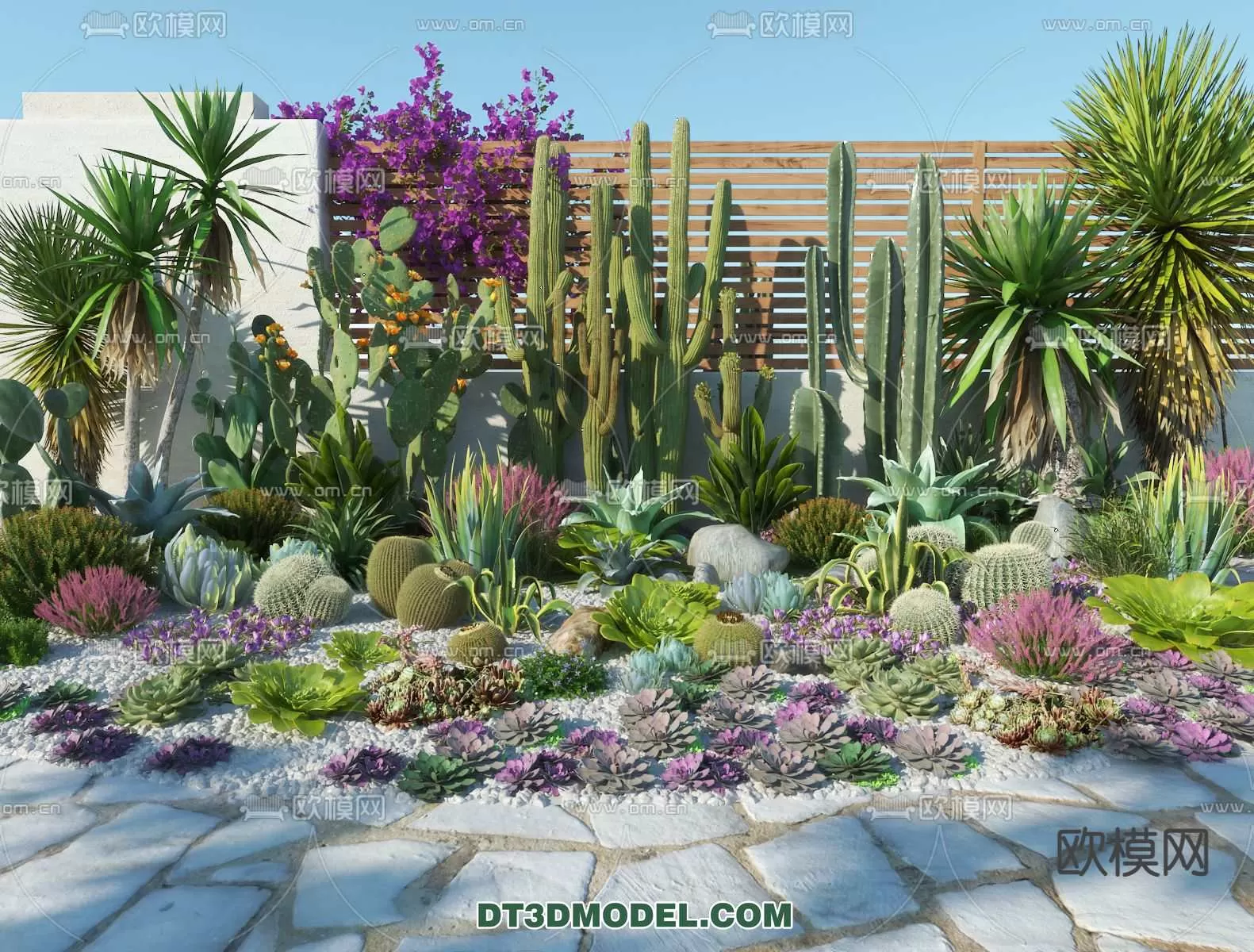 PLANT – CACTUS 3DMODELS – 107